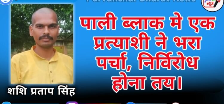 पाली ब्लाक से शशि प्रताप सिंह का प्रमुख बनना तय