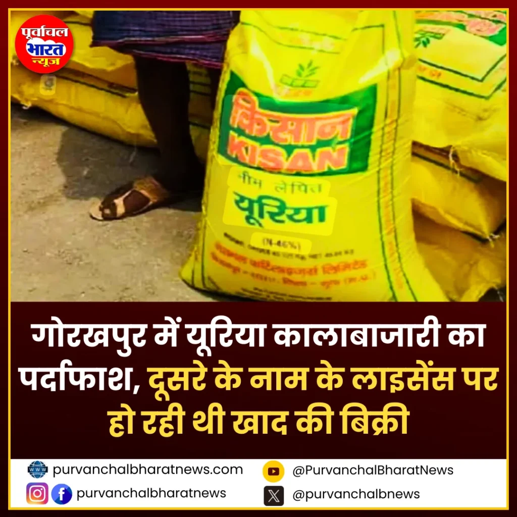 gorakhpur-urea-kalabazari