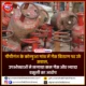 पीपीगंज गैस न्यूज़
